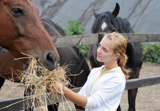 Envie d'un séjour en ranch aux Etats-Unis ?