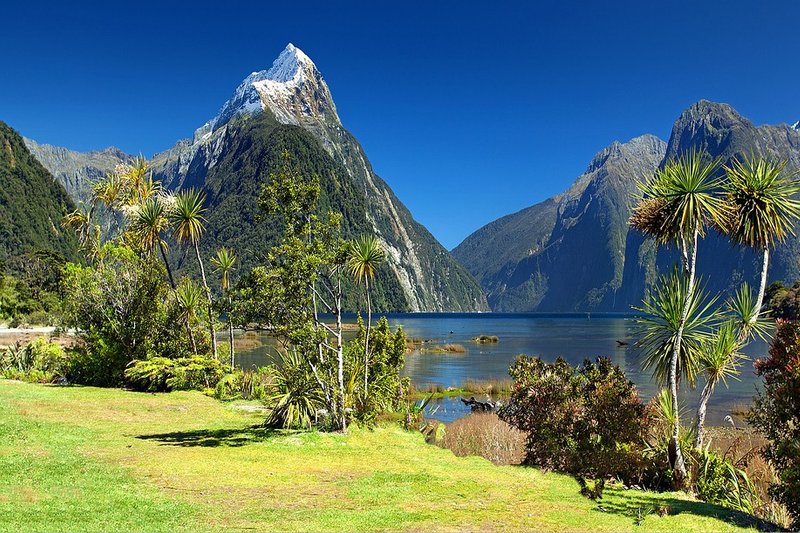 chantier nature Nouvelle-Zélande : agissez sur l'environnement maintenant