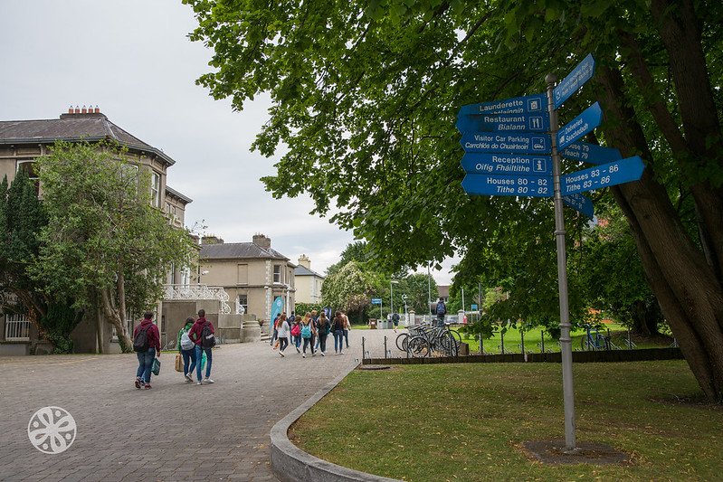 séjour Dublin - le campus