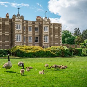 Le superbe campus pour mon séjour junior Londres