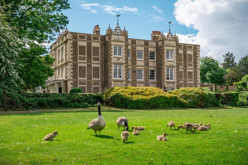 Le superbe campus pour mon séjour junior Londres