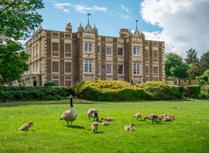 Le superbe campus pour mon séjour junior Londres