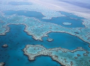 great barrier reef, corals, australia