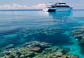 Conservation Grande Barrière de Corail : plongez en eaux turquoises