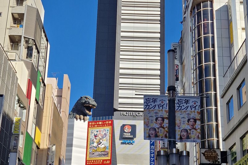 cours privés de japonais au japon photo : rue commerçante de Tokyo
