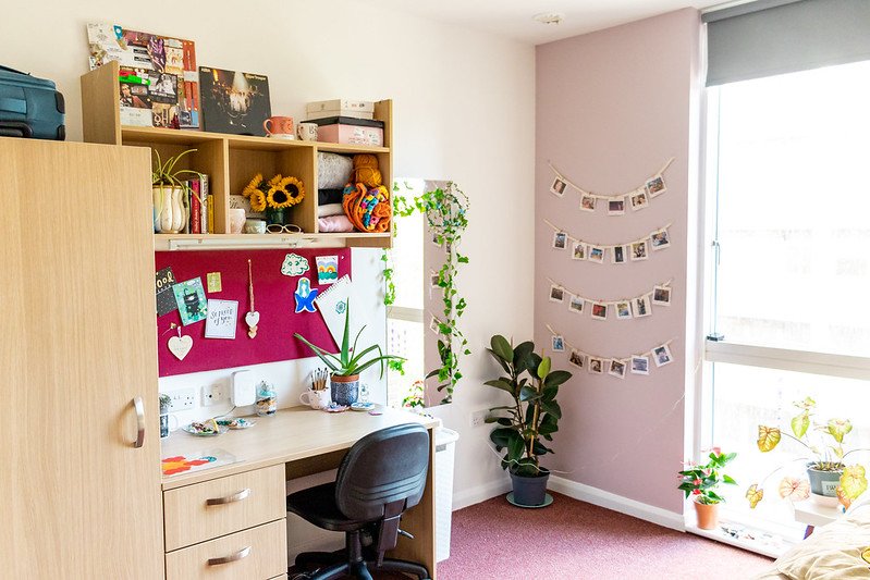 Le superbe campus pour mon séjour junior Londres