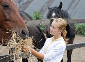 Envie d'un séjour en ranch aux Etats-Unis ?