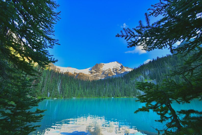 Découvrez les articles de notre blog