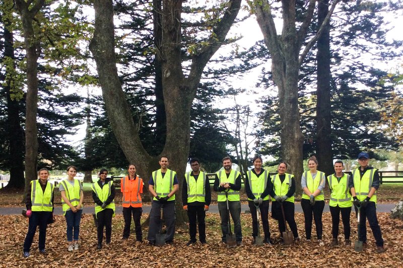 chantier nature en Nouvelle-Zelande: une équipe de volontaire