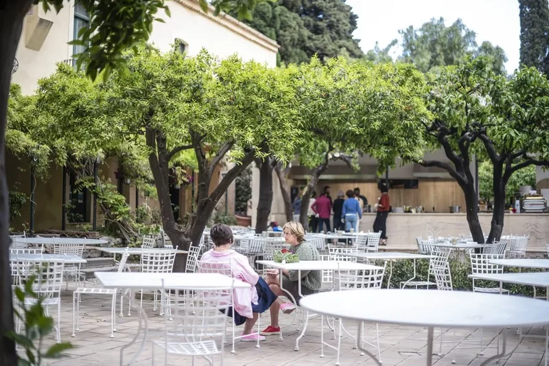 Terrasse de l'école Babilonia