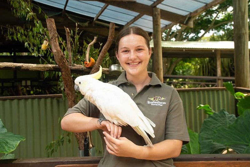 Volontariat pour la faune et la flore en Australie