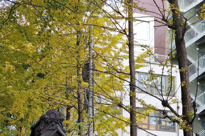 séjour linguistique japonais à Tokyo : photo du bâtiment de l'école