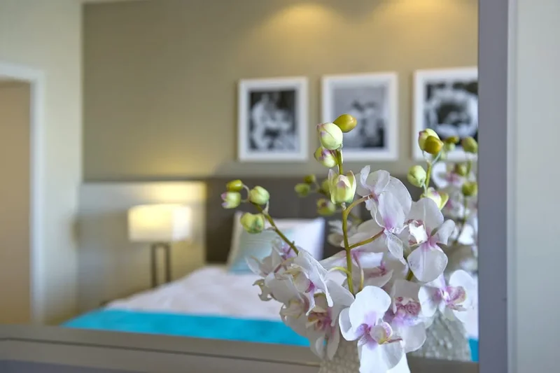 Chambre -dans un studio Salini Resort